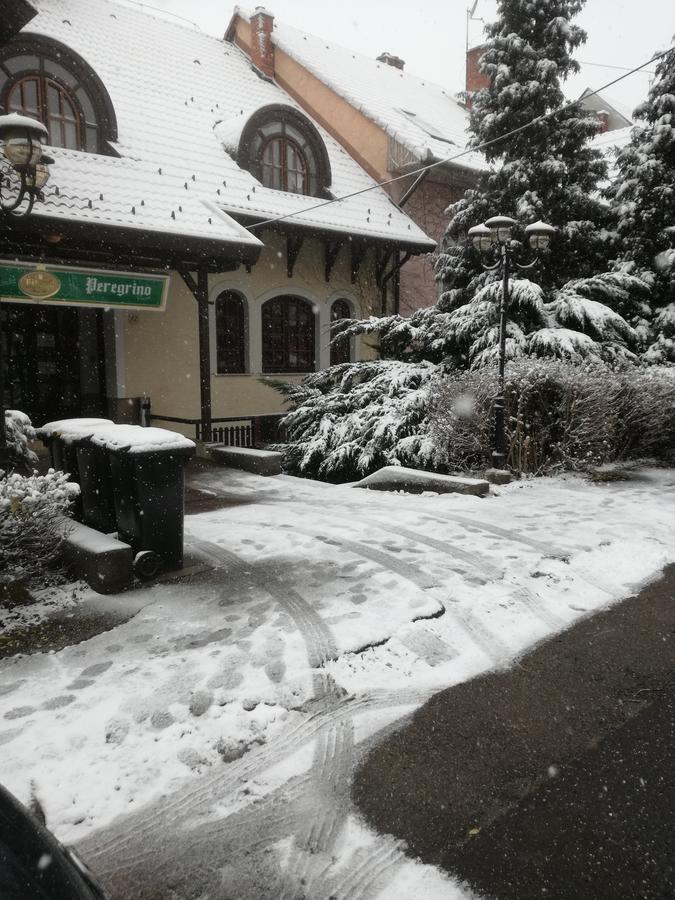 Bed and Breakfast Peregrino Panzio Budaörs Zewnętrze zdjęcie