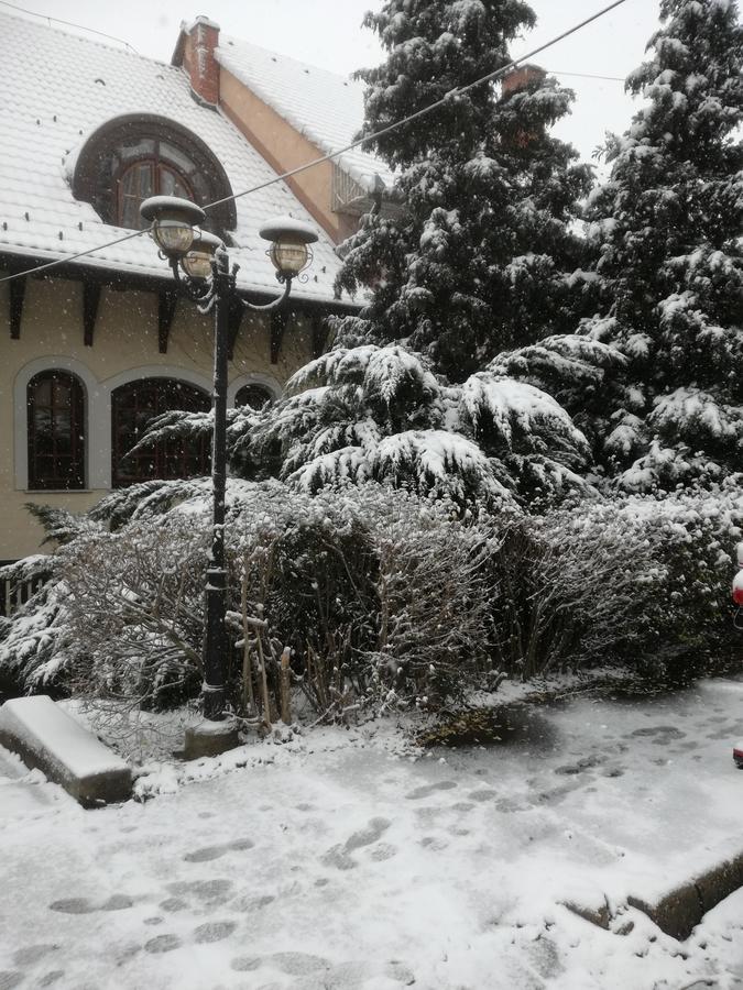Bed and Breakfast Peregrino Panzio Budaörs Zewnętrze zdjęcie